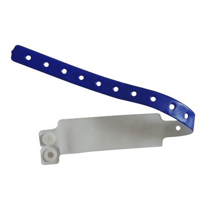 Anniversary Occasion Twelve Zodiacs Design Wristband with Customized Inlay Technology