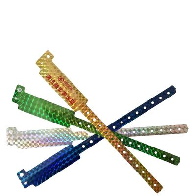 2023 Holographic ID Bracelet Exhibition and Concert Admission Glitter Wristbands